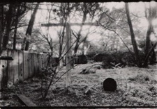 backyard/Jerrold