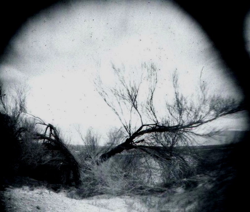 7 sisters, saline valley 2006/pinhole