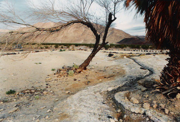 Saline Valley