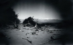 mesquite/shorty's well/pinhole